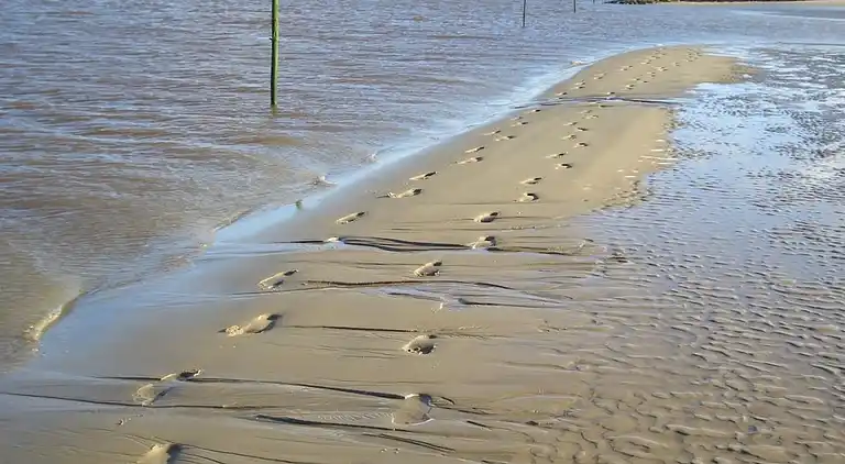 Ferienhaus in Norderteil