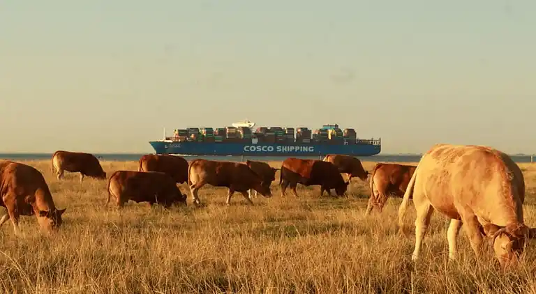 Ferienhaus in Norderteil