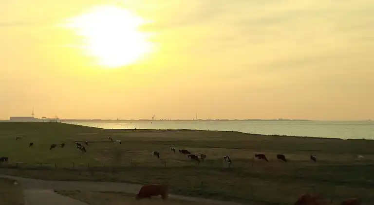 Ferienhaus in Norderteil