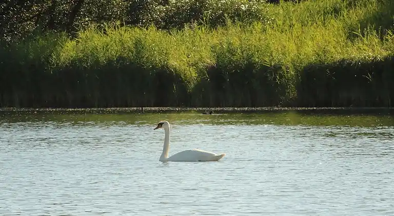 Ferienhaus in Norderteil