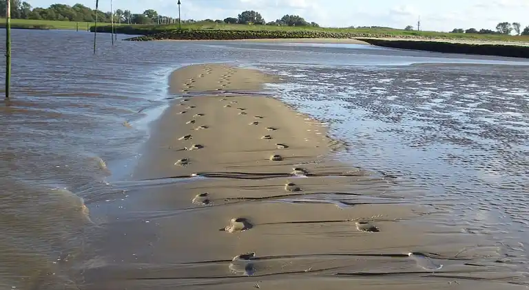 Ferienhaus in Norderteil