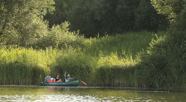 Ferienhaus in Norderteil