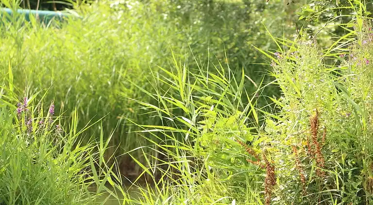 Ferienhaus in Norderteil