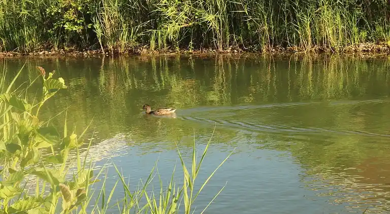 Ferienhaus in Norderteil