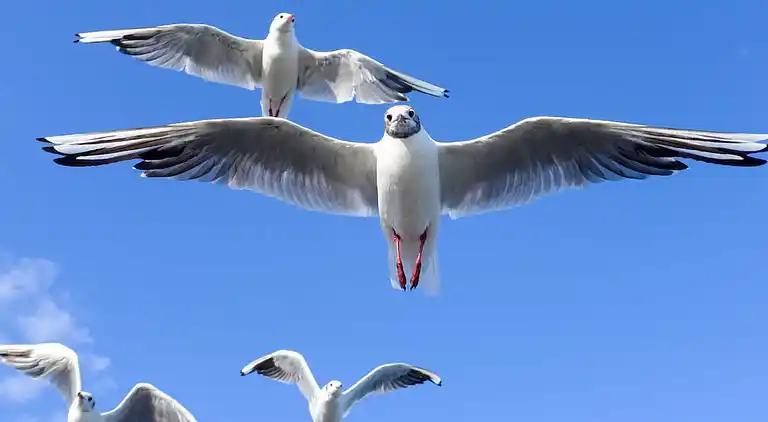 Holiday home in Kücknitz