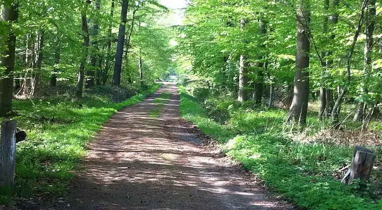 Holiday home in Kücknitz