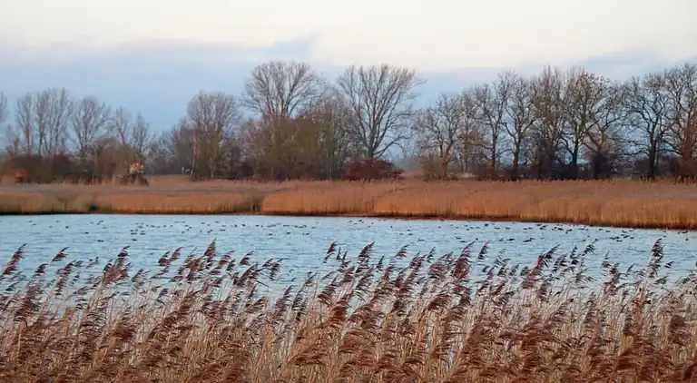 Ferienhaus in Kücknitz