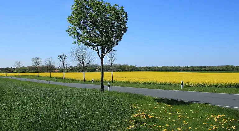 Ferienhaus in Kücknitz