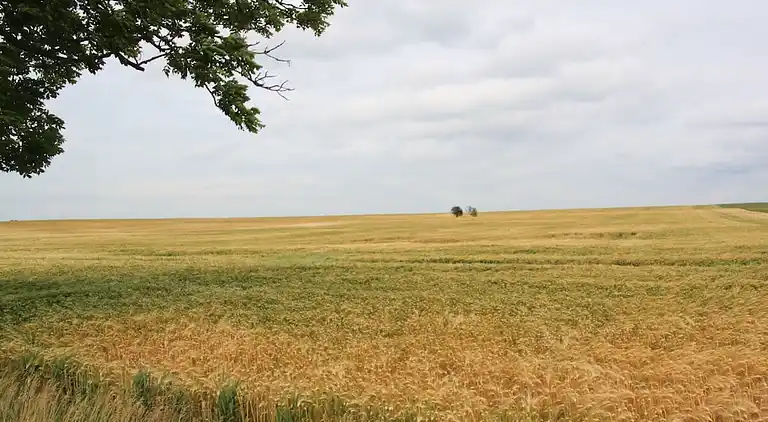 Ferienhaus in Kücknitz