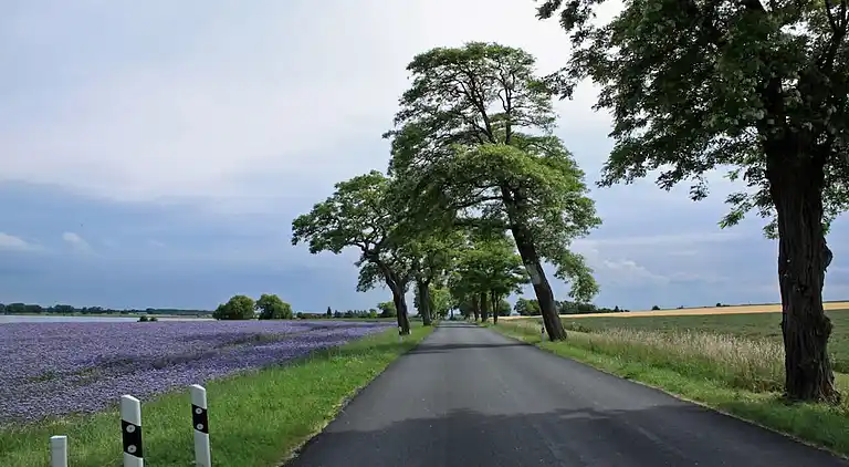Ferienhaus in Kücknitz
