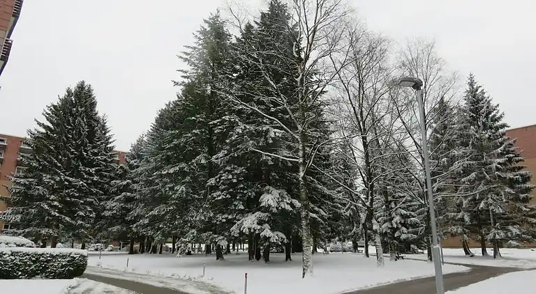 Holiday home in Altenau