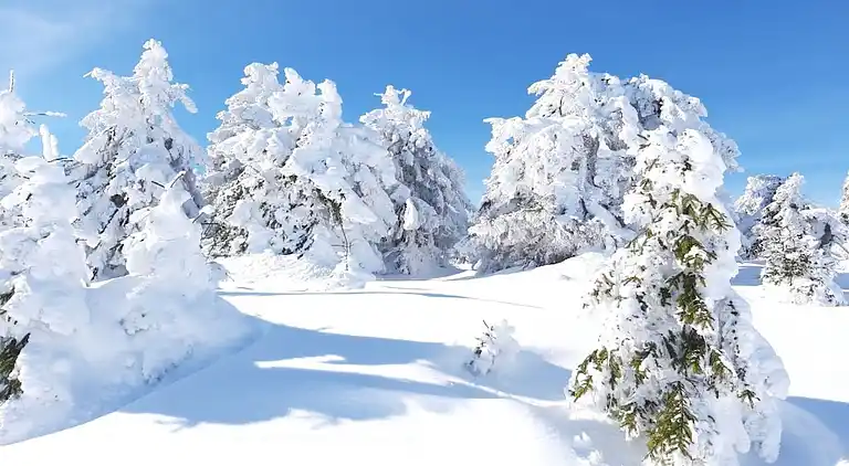 Ferienhaus in Hohegeiß