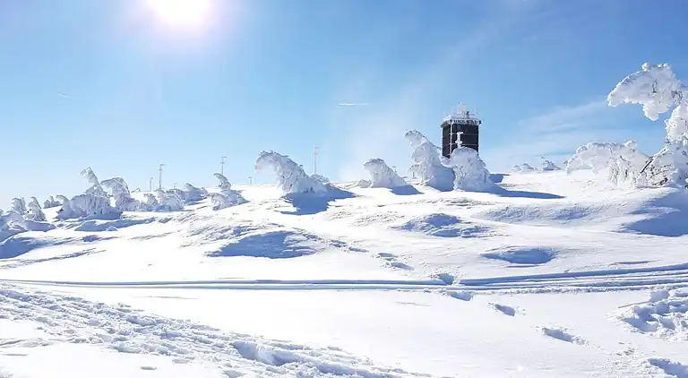 Ferienhaus in Hohegeiß