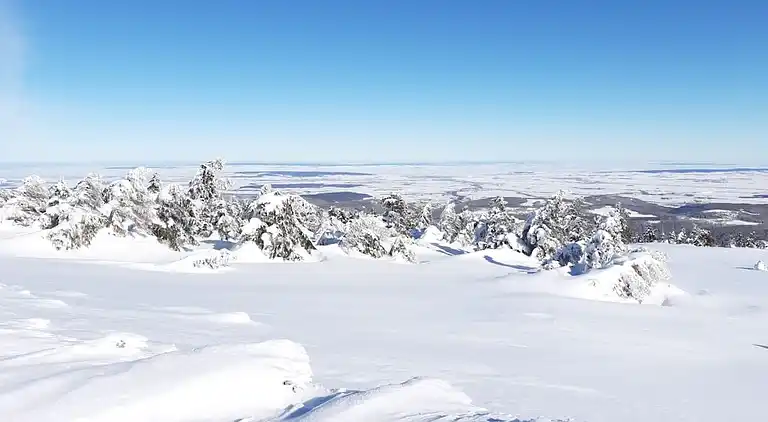 Ferienhaus in Hohegeiß