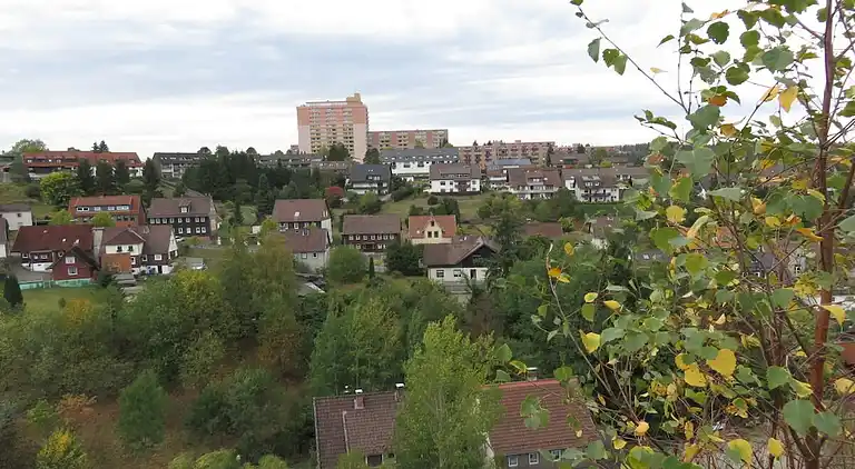 Holiday home in Altenau