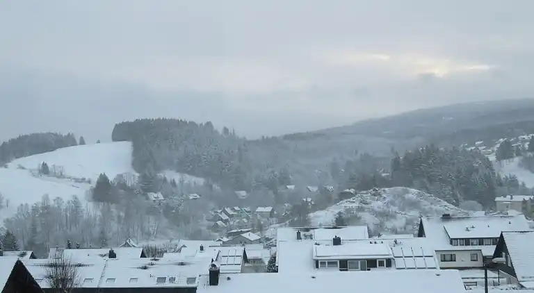 Holiday home in Altenau