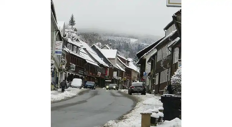Holiday home in Altenau