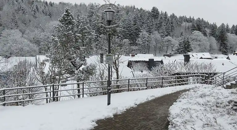 Holiday home in Altenau