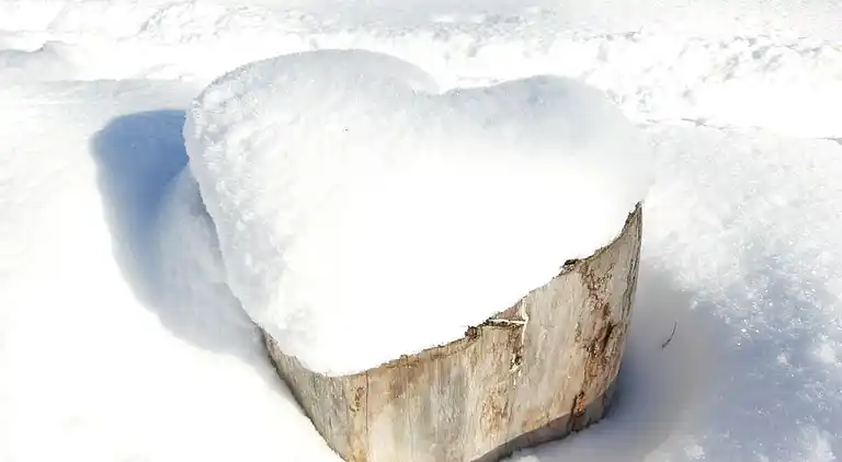 Ferienhaus in Hohegeiß