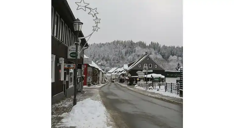 Holiday home in Altenau