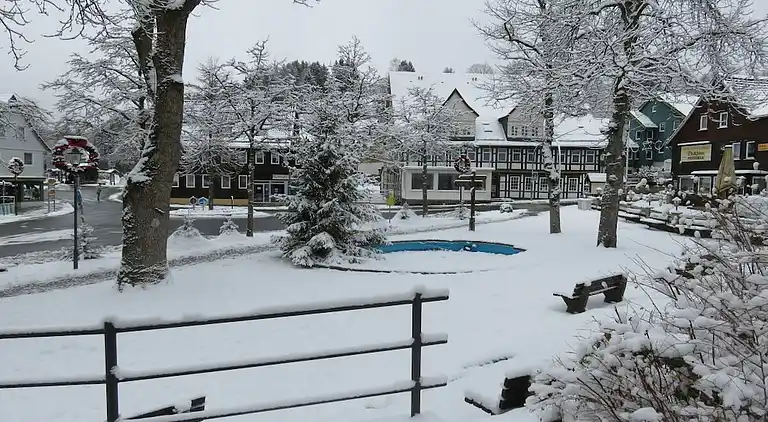 Holiday home in Altenau