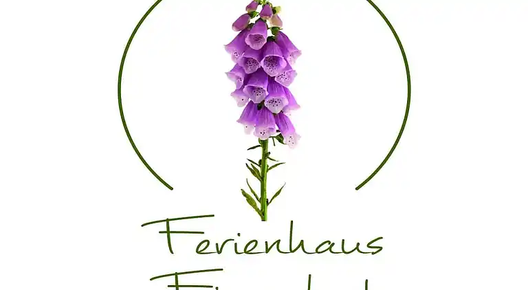 Ferienhaus in Hohegeiß