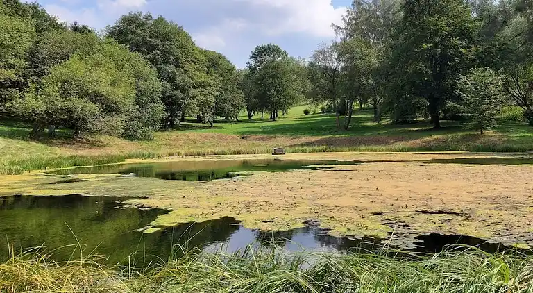 Ferienhaus in Hohegeiß