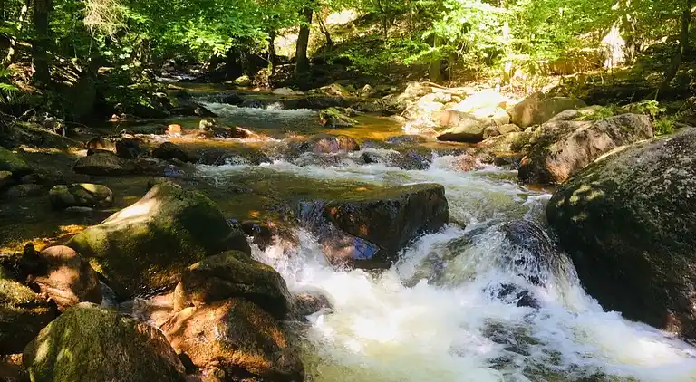 Ferielejlighed i Abbenrode