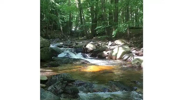 Ferielejlighed i Abbenrode