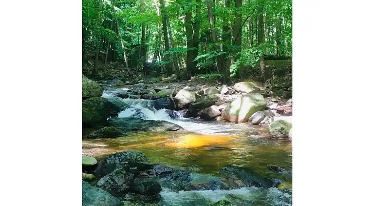 Ferielejlighed i Abbenrode