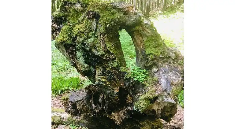 Ferielejlighed i Abbenrode