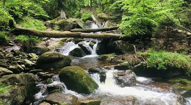 Ferielejlighed i Abbenrode