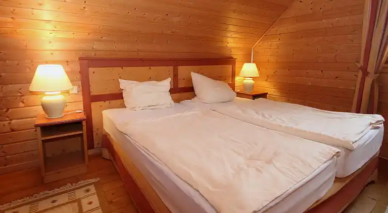 Holiday home in Hasselfelde