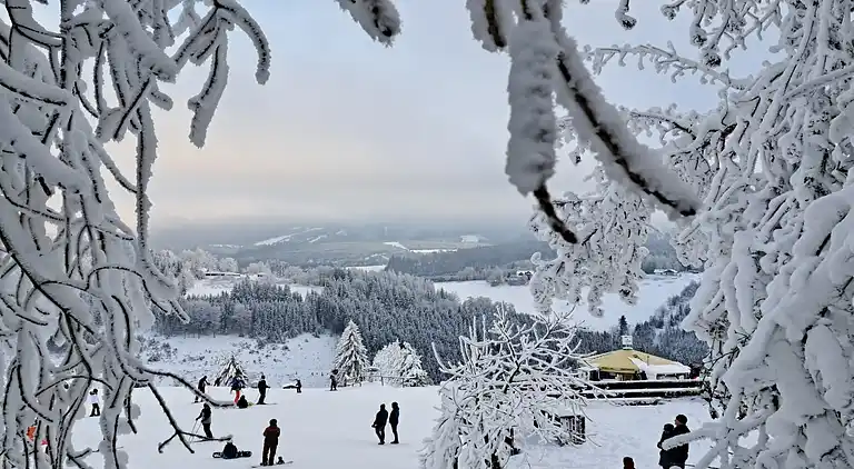 Holiday home in Europe