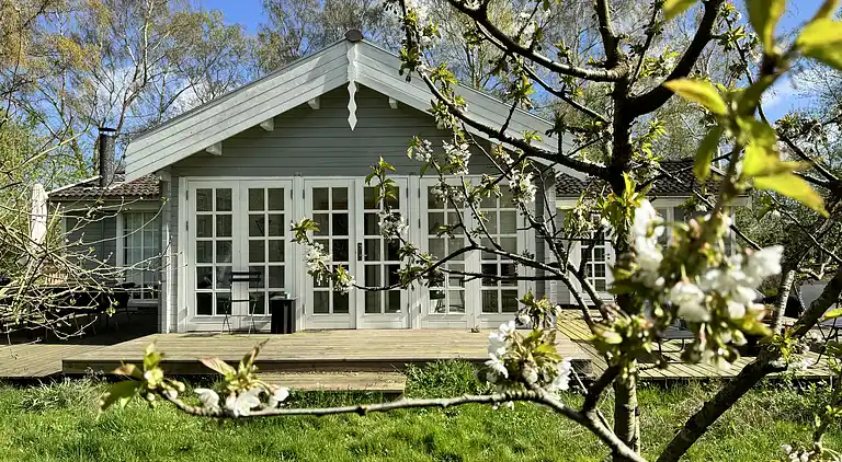 Villa Betula: Naturperle ved Hårbølle Havn