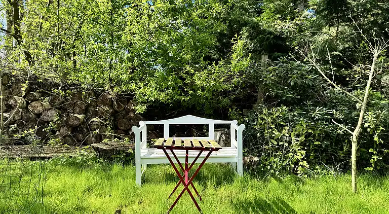 Villa Betula: Naturperle ved Hårbølle Havn