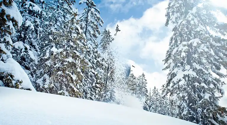 Apartment in Rosental