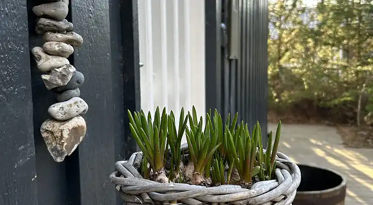 Sommerhaus am Strand in Ålbæk