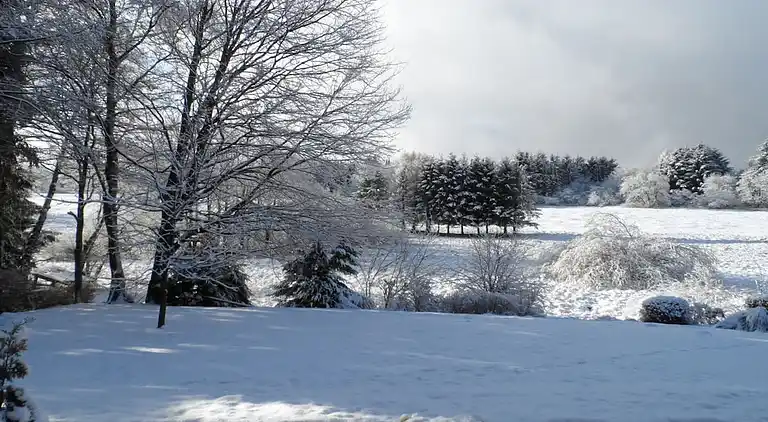 Ferienhaus in Braunlage