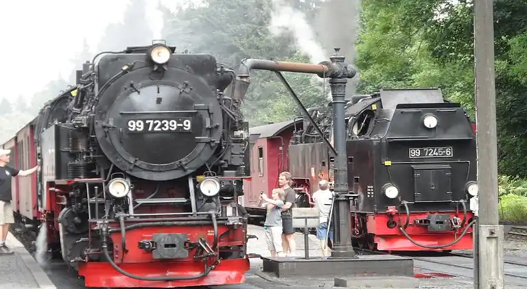 Ferienhaus in Braunlage