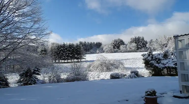 Ferienhaus in Braunlage