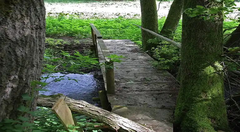 Ferielejlighed i Eulgem