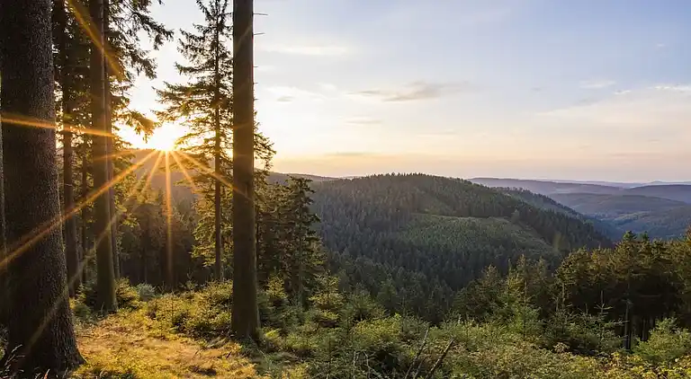 Ferienhaus in Niedersalwey