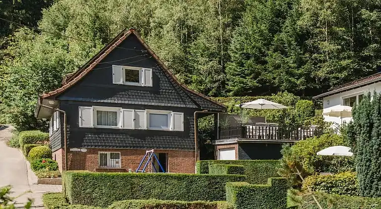 Ferienhaus in Niedersalwey