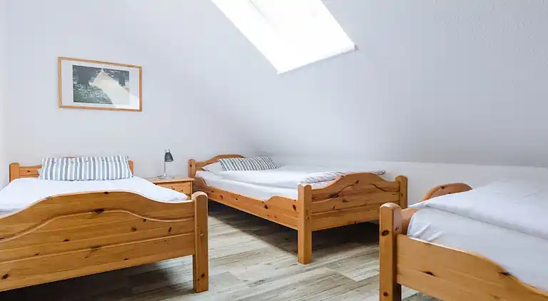 Ferienhaus in Niedersalwey