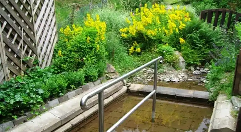 Ferienhaus in Niedersalwey