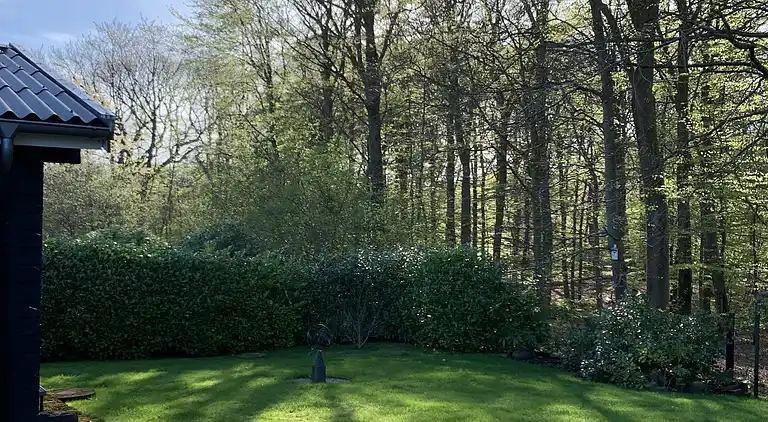 Oplev Nordsjællandsk bøgeskov  og strand 