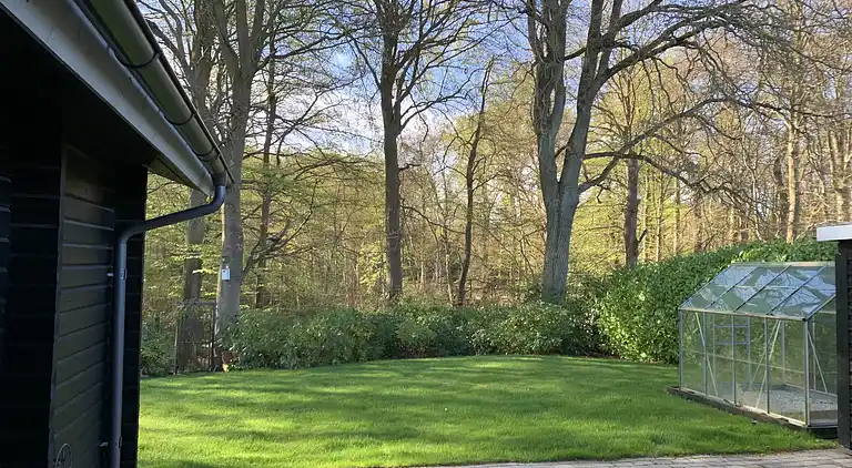 Oplev Nordsjællandsk bøgeskov  og strand 