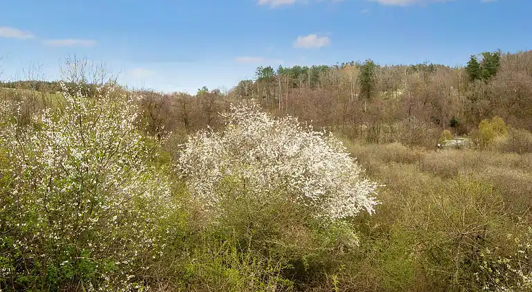 Sommerhus ved Lyngsbæk Strand