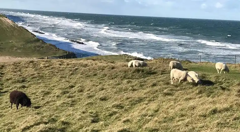 Hyggelig, renoveret  perle ved Rågeleje strand.